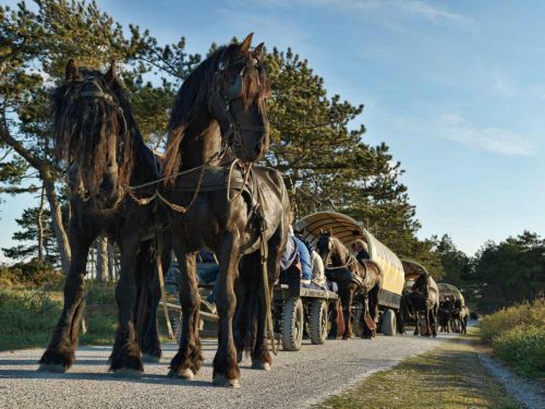 Bedrijfsreis Terschelling: uitwaaien, teambuilding en ontspannen op een van de mooiste Waddeneilanden