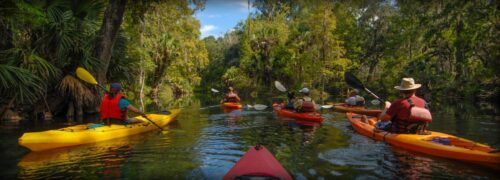 Florida incentivereis, ziplinen door tropische bossen en verken de Everglades
