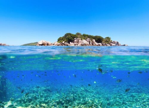 Incentivereis Seychellen, zeilen, snorkelen en verken de exotische natuur van dit tropische paradijs