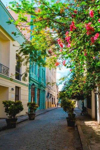 Personeelsreis Cuba, van historische stadstours in Havana tot avontuurlijke activiteiten en groepsuitjes op de stranden