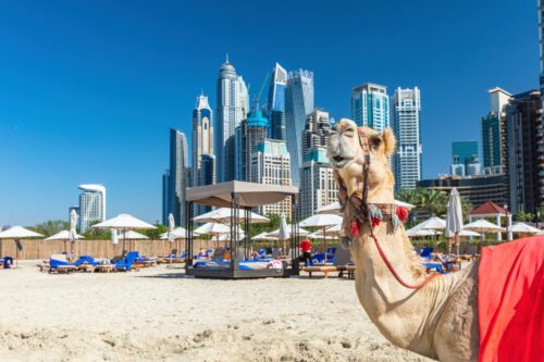 Jubileumreis Dubai