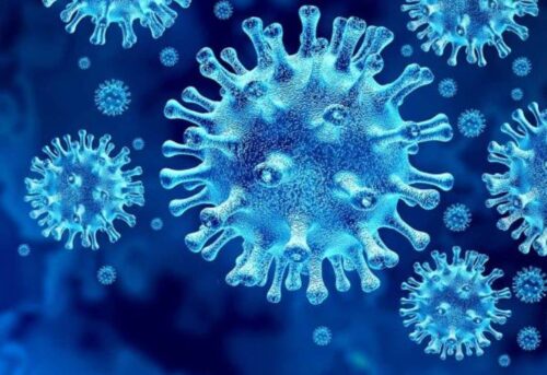 Corona Virus
