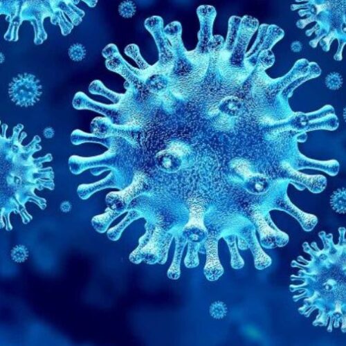 Corona Virus