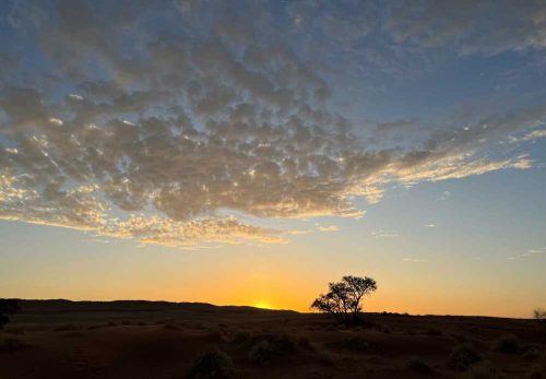 Incentivereis Krugerpark, ontdek de Big Five, adembenemende landschappen en exclusieve safarilodges