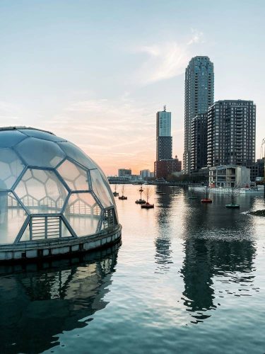 Personeelsreis organiseren naar Rotterdam met diner in de Markthal en uitzicht op de Erasmusbrug