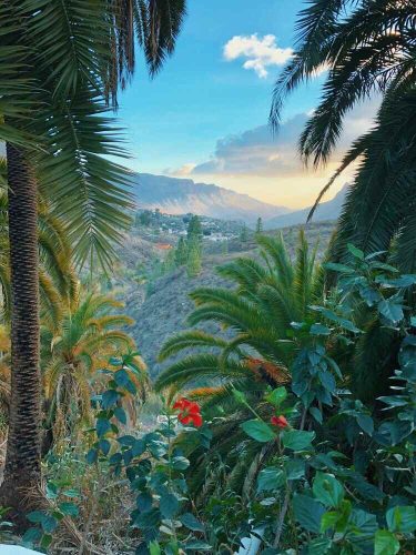 Personeelsreis Gran Canaria