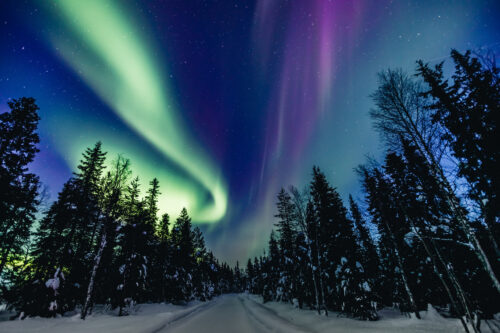 Personeelsreis Lapland