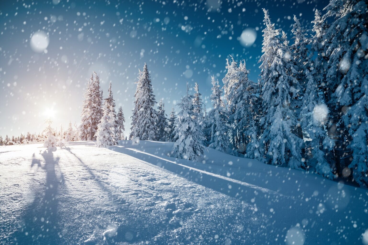 Personeelsreis Lapland