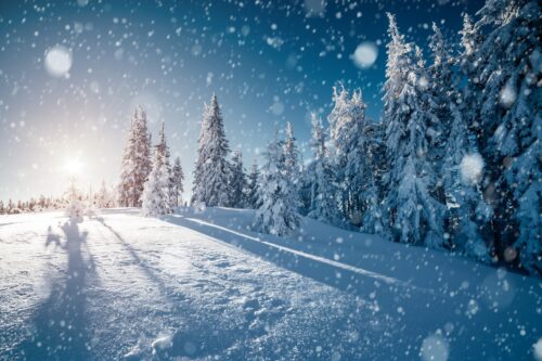 Personeelsreis Lapland