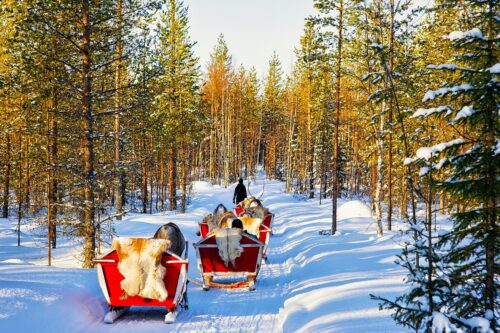 Personeelsreis Lapland