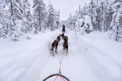 Personeelsreis Lapland