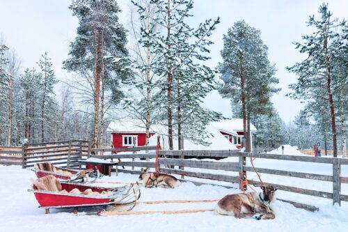 Personeelsreis Lapland